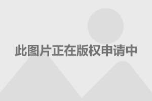  狼堡客场逼平拜仁终结对手十连胜  