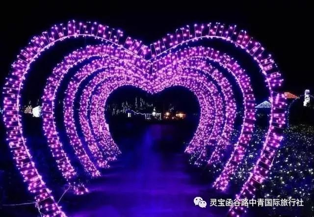  尼斯主场灯光故障导致比赛中断半小时  